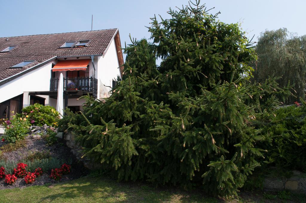 Apartment Edelweiss Egsdorf Exterior foto